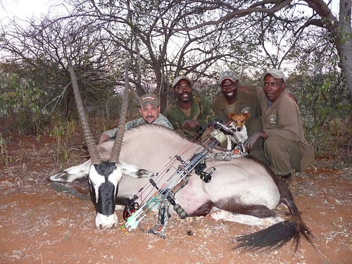 bow hunting in africa