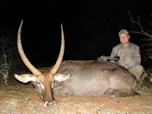 bow hunting south africa