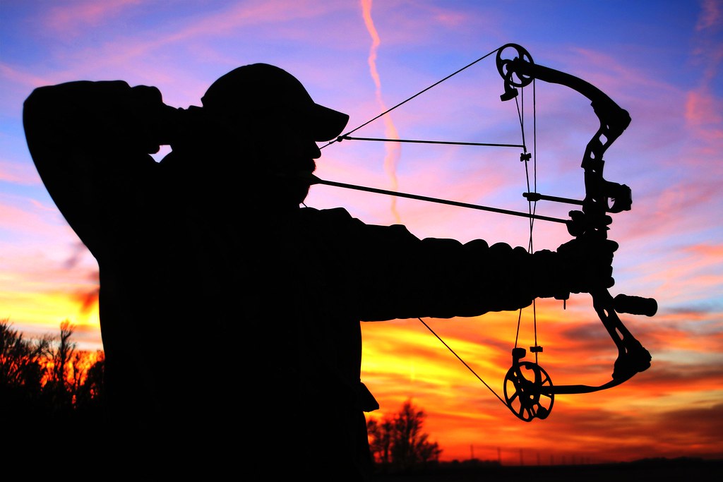 bow hunting for fish