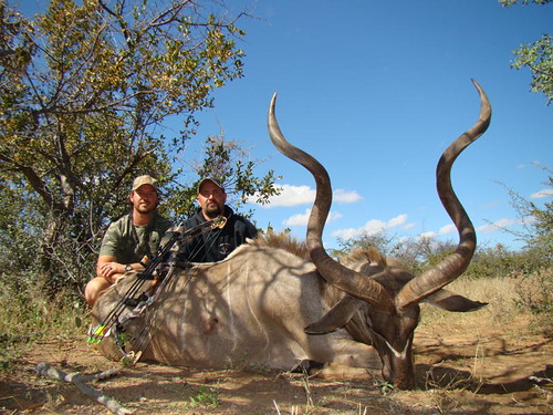 bow hunting elephant