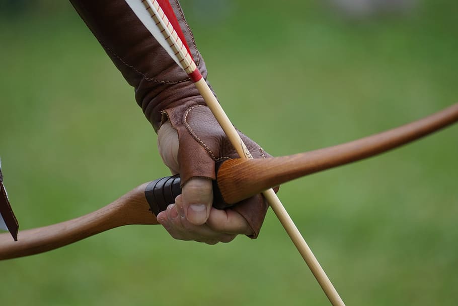 bow hunting for rabbits