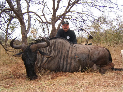 bow hunting targets