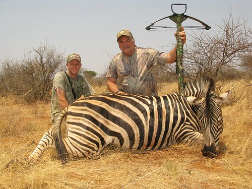 bow hunting fish