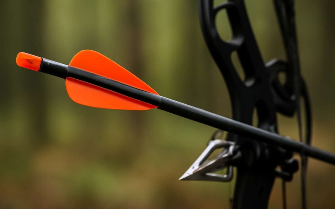 bow hunting arrows: Unleash precision and power in every shot
