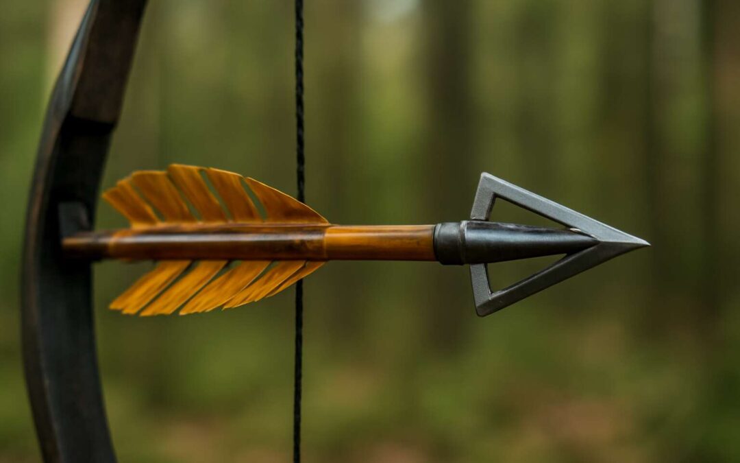 Master bow hunting arrow tips: boost precision and stealth in the field