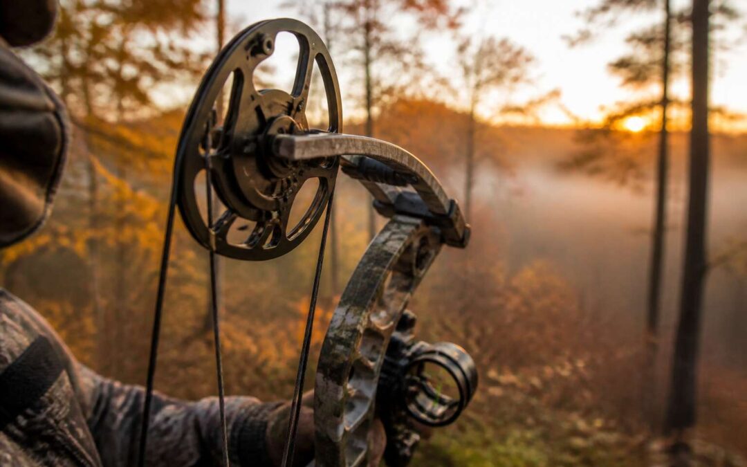 Which bow is best for hunting depends on your style and budget.