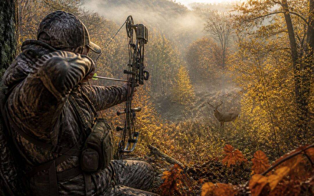 bow hunting for deer